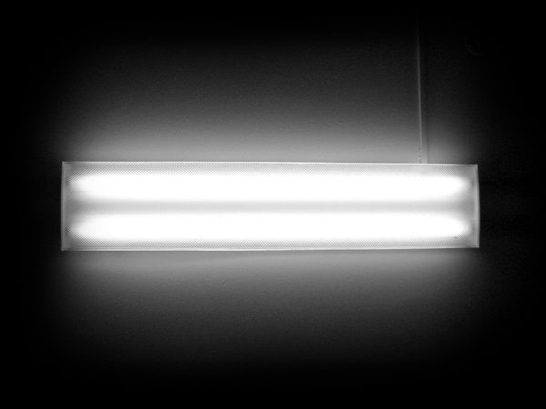 Bzzzzzzzzzzzzzzzzzzzz.......